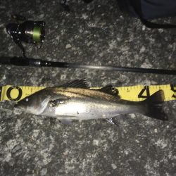 @テクトロ3Dダート