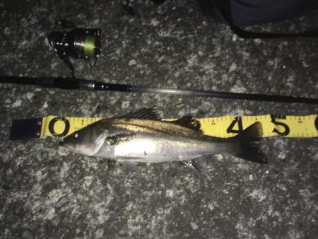 @テクトロ3Dダート