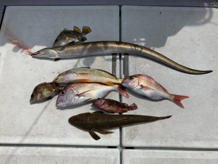 一つテンヤの珍客