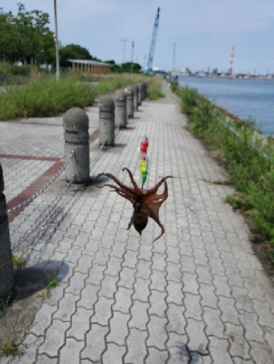 オクトパッシング