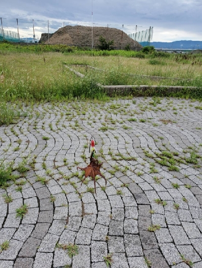 ポツポツ釣れます