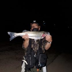 チヌトップタックルにて。