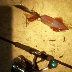 鏡面ベタ凪で苦戦