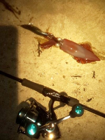 鏡面ベタ凪で苦戦