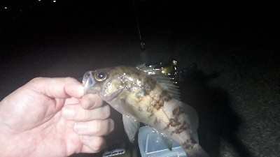 ライトゲーム三人衆