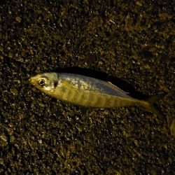 久しぶりに行ってみたら…