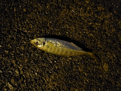 久しぶりに行ってみたら…