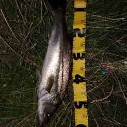 インパクトのある１日。