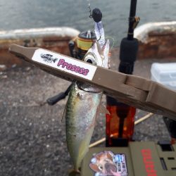 サバゲーはアジングの練習~