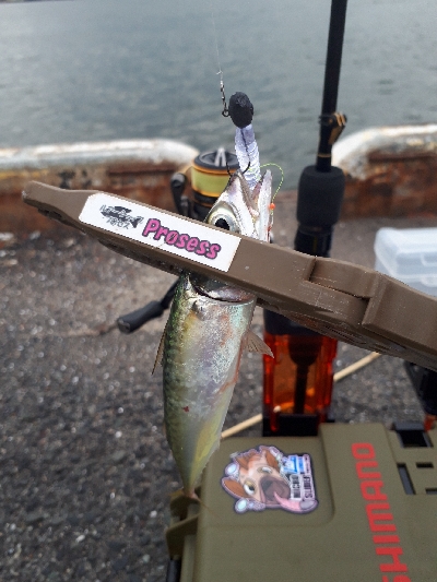 サバゲーはアジングの練習~