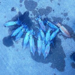 無から一転時合突入