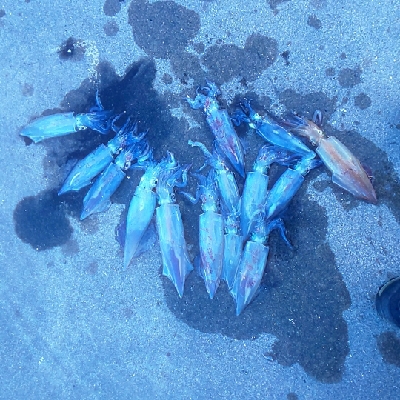 無から一転時合突入