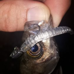 サバゲーからのメバリング