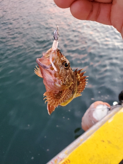 仕事終わりに②
