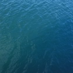 ルアーフィッシング