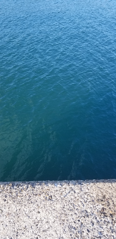 ルアーフィッシング