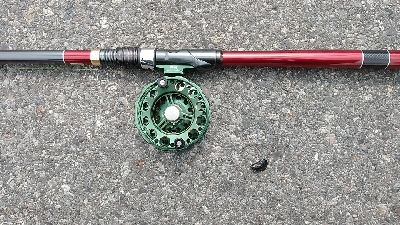 連日釣れました