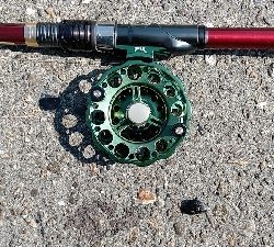 3尾・50cmの壁越えなるか