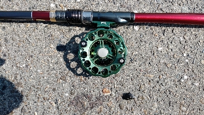 3尾・50cmの壁越えなるか