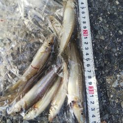 大塩海岸のキス釣り