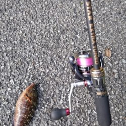 フロートアジング