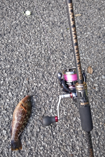 フロートアジング