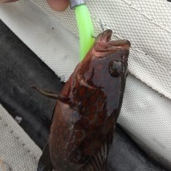 またまた仕事帰りに