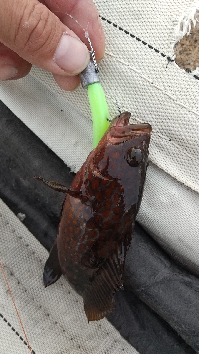 またまた仕事帰りに