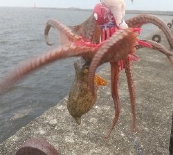 雨の中沖堤防で