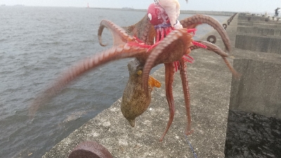 雨の中沖堤防で