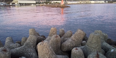 ショアジギ開始までのエギングてアオリイカ！