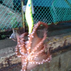 雨の日はあたりが小さい?