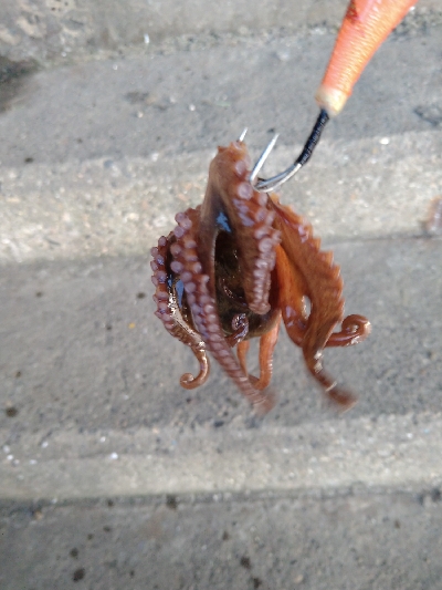 底取りづらい中、なんとか１杯