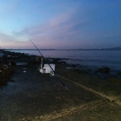 苅屋海岸のキス釣り