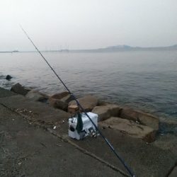 苅屋海岸のキス釣り