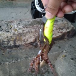 渋い中、なんとか１杯