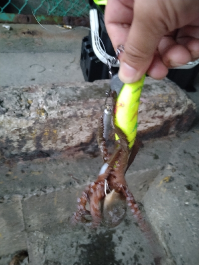 渋い中、なんとか１杯