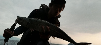 夏磯ショアジギング開幕!