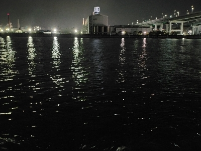 涼しい夜釣り