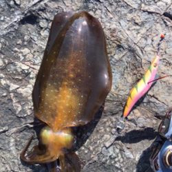 晩酌用のおつまみ確保