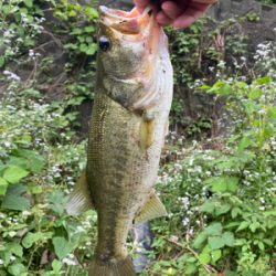 不安定な天気で