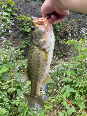 不安定な天気で