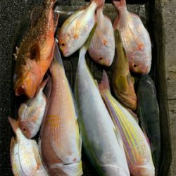 いつものポイントでジギング、タイラバ釣行