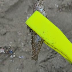 久しぶりのキス狙い