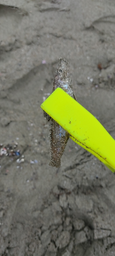 久しぶりのキス狙い