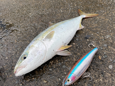 ショアプラっキング練習