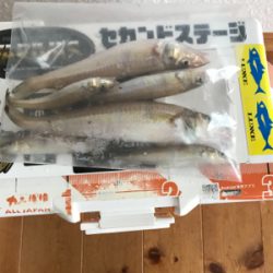 のんびりチョイ投げ