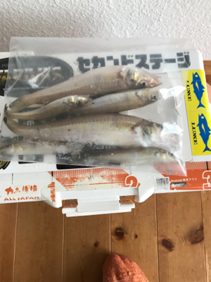 のんびりチョイ投げ