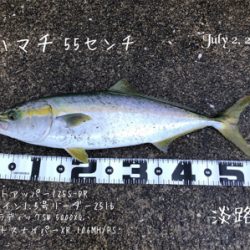 ハマチ55cm