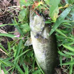 久しぶりのバス